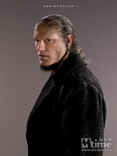 greyback harry potter|what house was fenrir greyback.